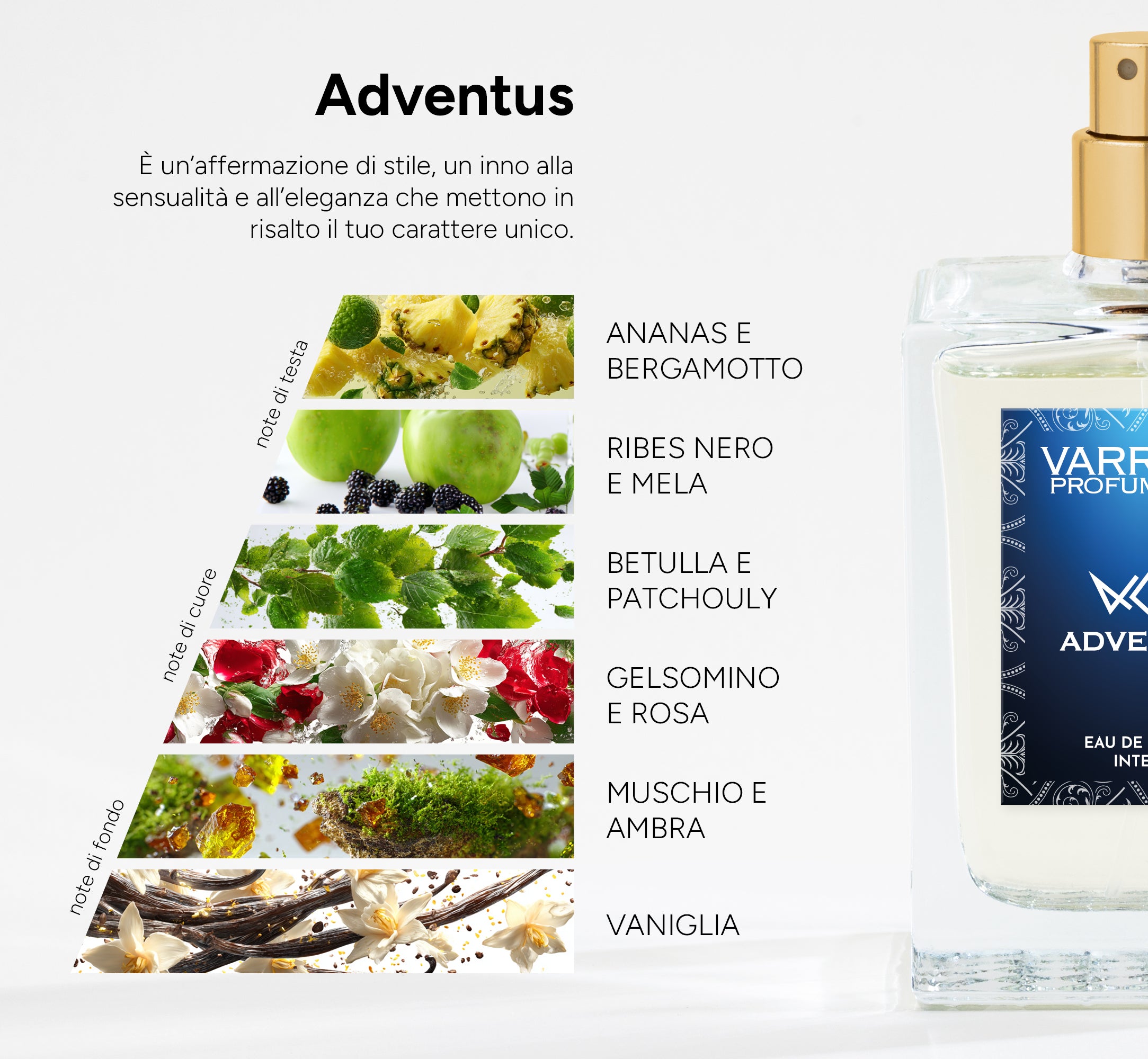 Adviento