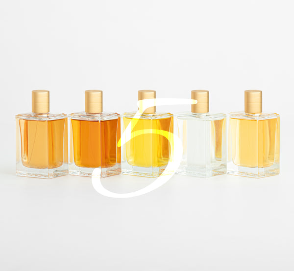 Set of 5 100ml Perfumes