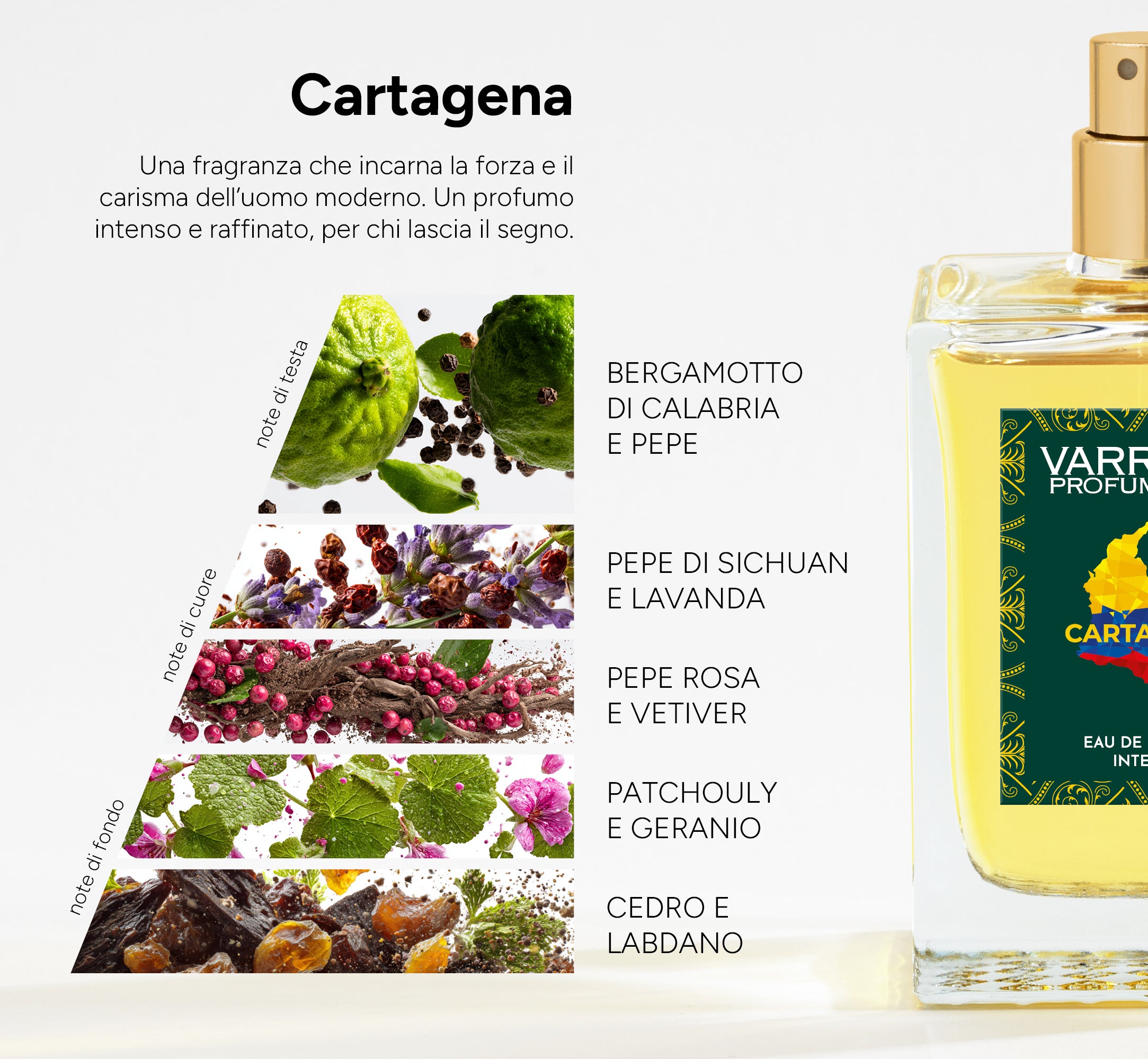 Cartagena - Profumo raffinato, intenso fresco e sensuale, perfetto per uomini sicuri e audaci.