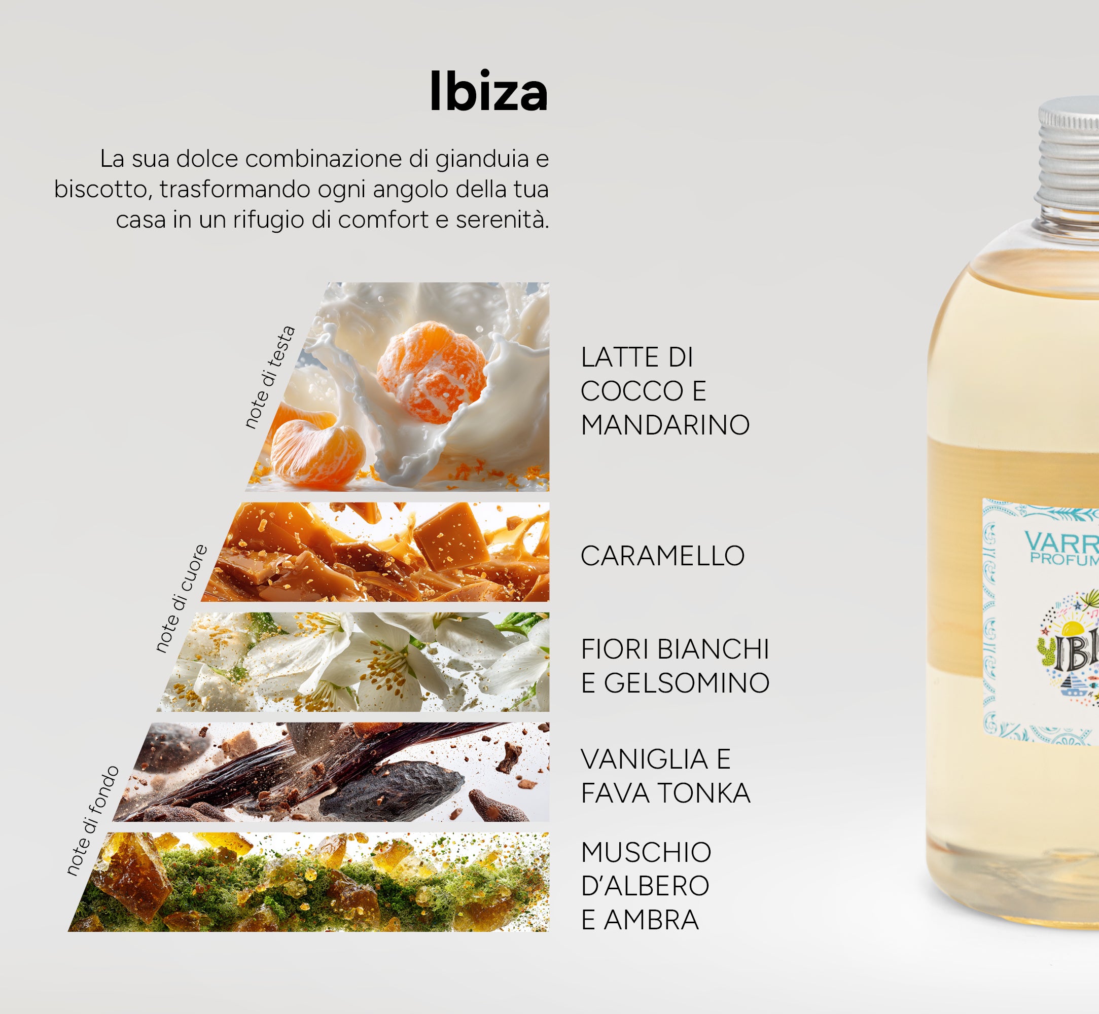 Ibiza Ambiente