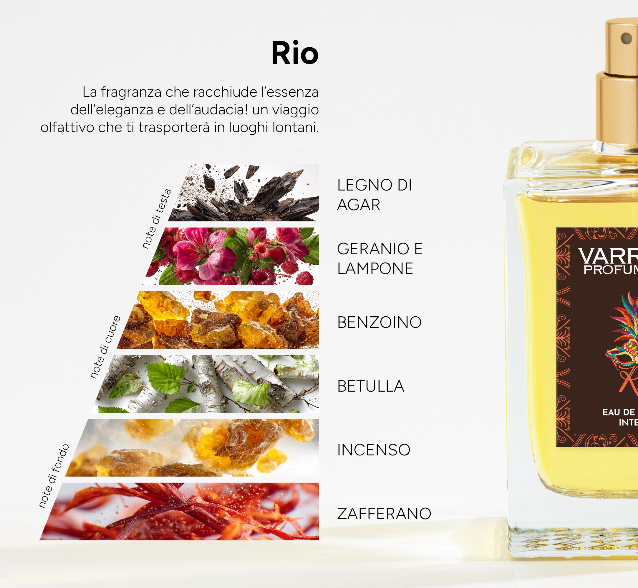 Rio - un mix affascinante di note legnose &amp; speziate, perfetta per chi ama fragranze che lasciano un segno indelebile!